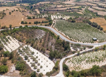 Letymvou, Paphos Agricultural Field For Sale | WW30329