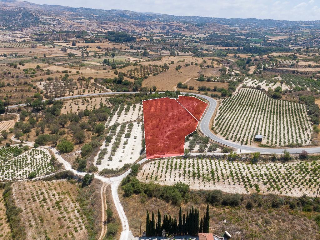Field - Letymvou, Paphos