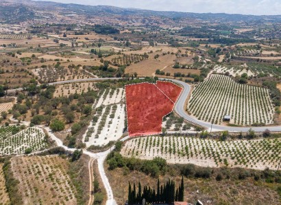 Letymvou, Paphos Agricultural Field For Sale | WW30329