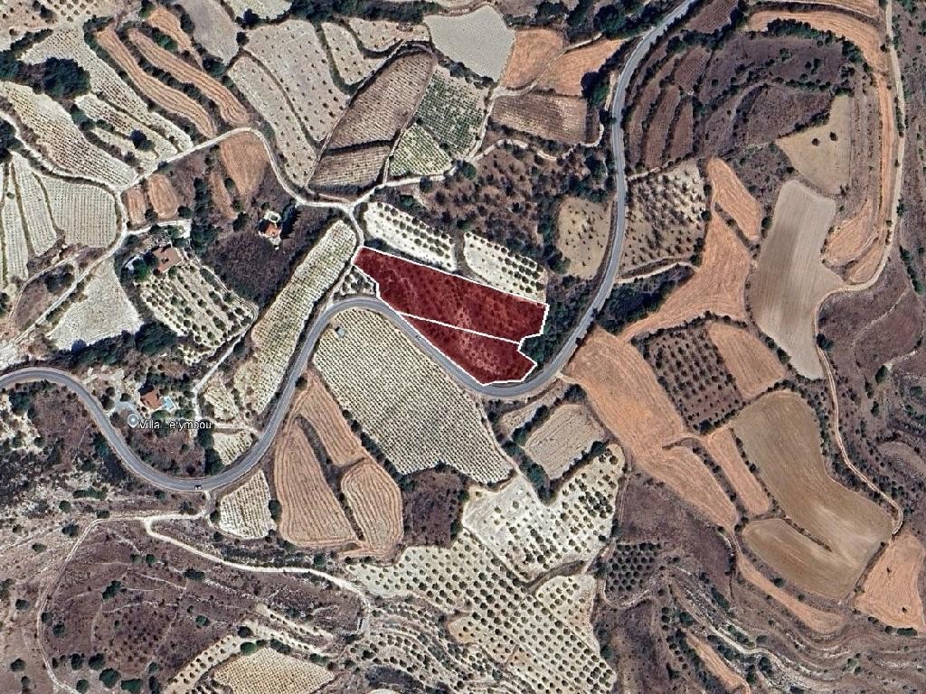Field - Letymvou, Paphos