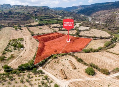 Stroumbi, Paphos Agricultural Field For Sale | WW30330