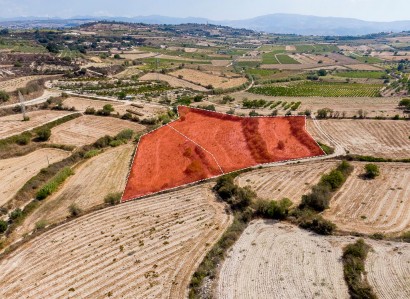 Stroumbi, Paphos Agricultural Field For Sale | WW30330