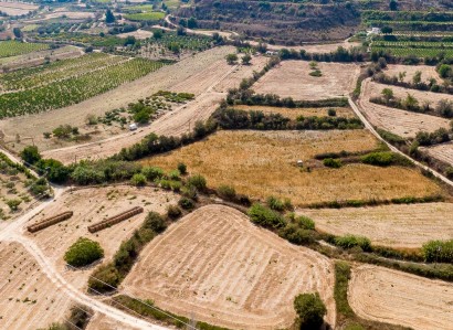 Stroumbi, Paphos Agricultural Field For Sale | WW30330