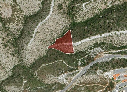 Pentalia, Paphos Agricultural Field For Sale | WW30332