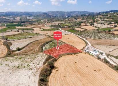 Stroumbi, Paphos Agricultural Field For Sale | WW30335