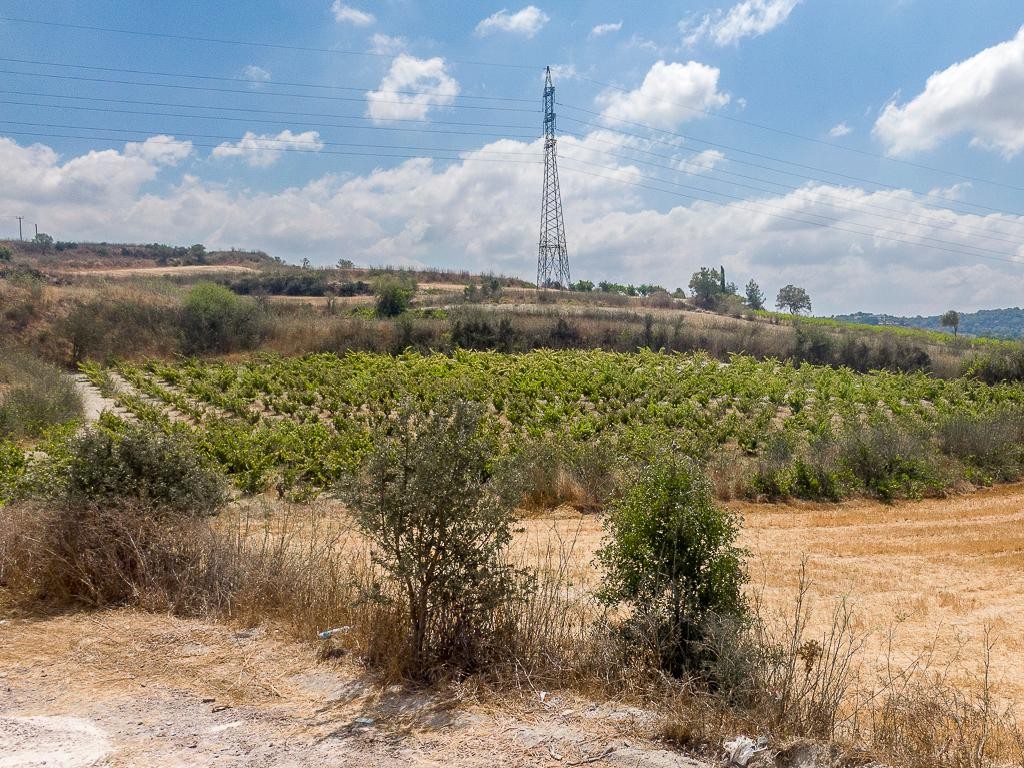 Field - Stroumpi, Paphos
