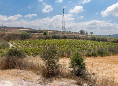Stroumbi, Paphos Agricultural Field For Sale | WW30335