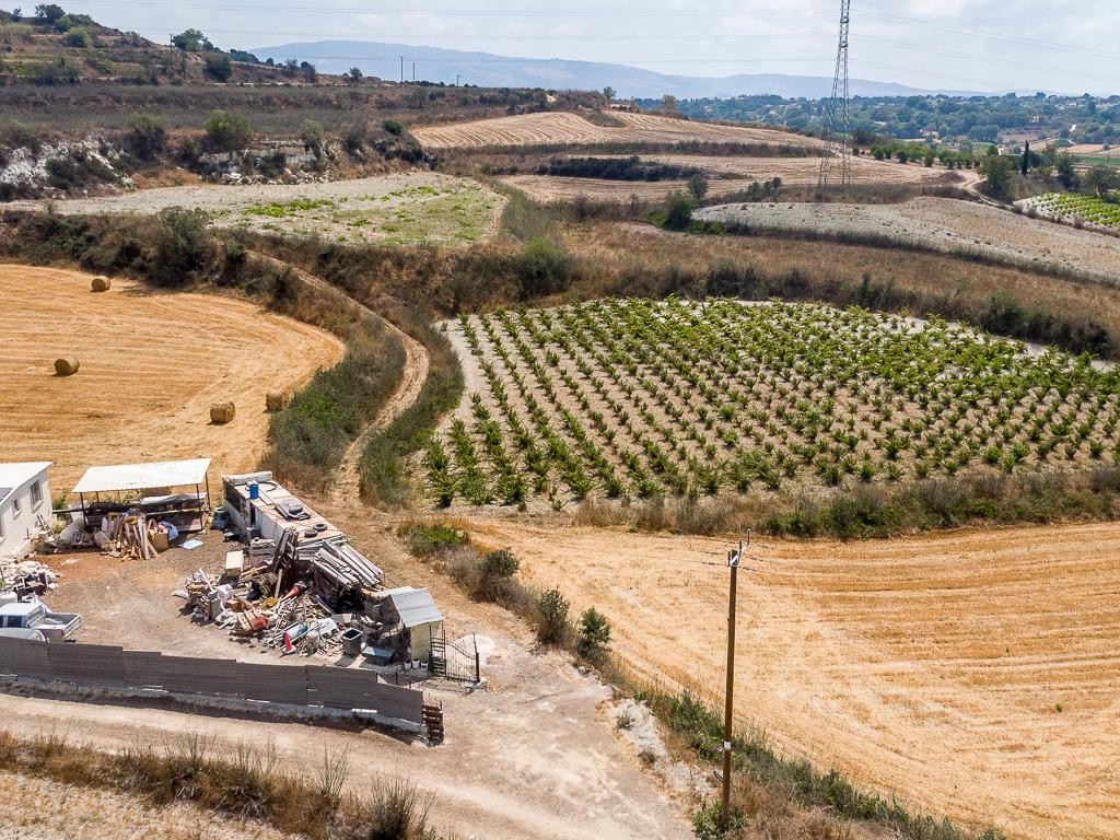 Field - Stroumpi, Paphos