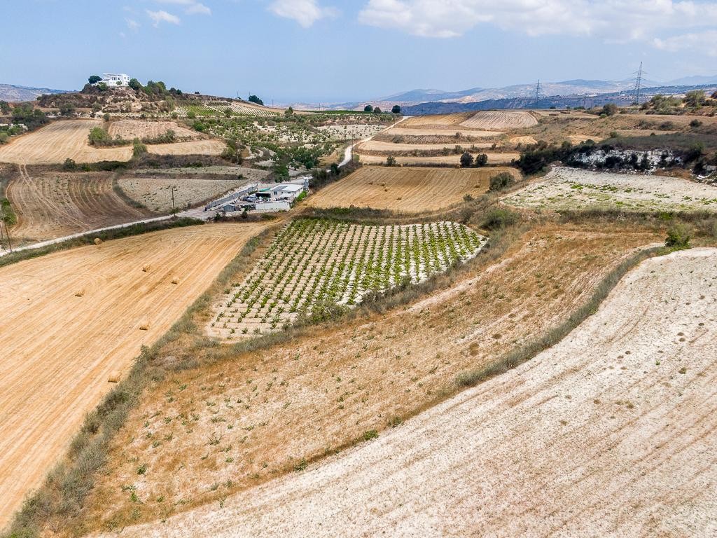 Field - Stroumpi, Paphos