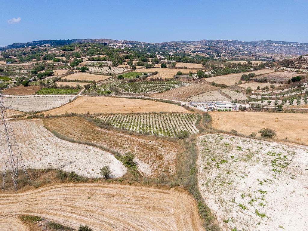 Field - Stroumpi, Paphos