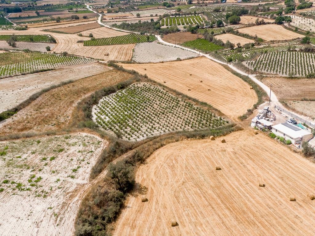 Field - Stroumpi, Paphos