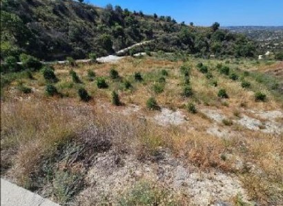 Psathi, Paphos Agricultural Field For Sale | WW30336