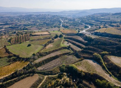 Stroumbi, Paphos Agricultural Field For Sale | WW30337