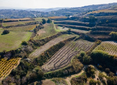 Stroumbi, Paphos Agricultural Field For Sale | WW30337