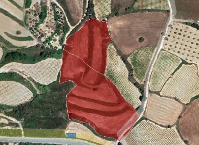 Stroumbi, Paphos Agricultural Field For Sale | WW30337