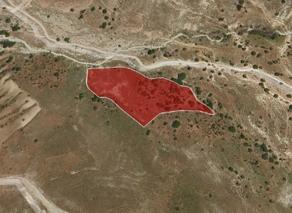 Kelokedara, Paphos Agricultural Field For Sale | WW30338