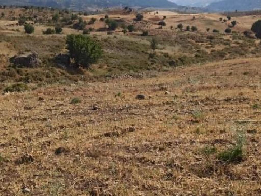Kelokedara, Paphos Agricultural Field For Sale | WW30339