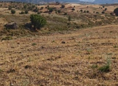 Kelokedara, Paphos Agricultural Field For Sale | WW30339