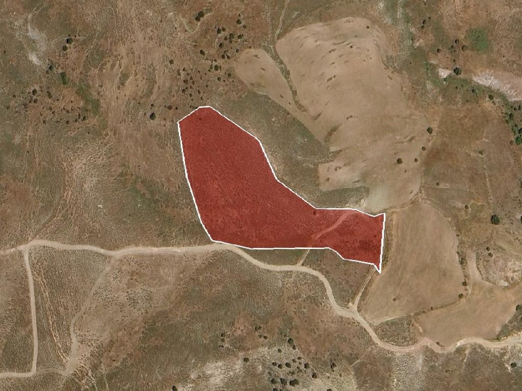 Field - Kelokedara, Famagusta
