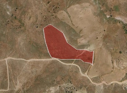 Kelokedara, Paphos Agricultural Field For Sale | WW30339
