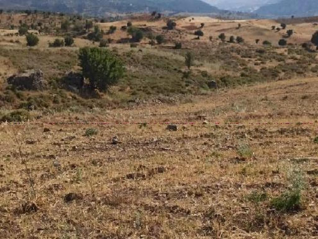 Kelokedara, Paphos Agricultural Field For Sale | WW30340