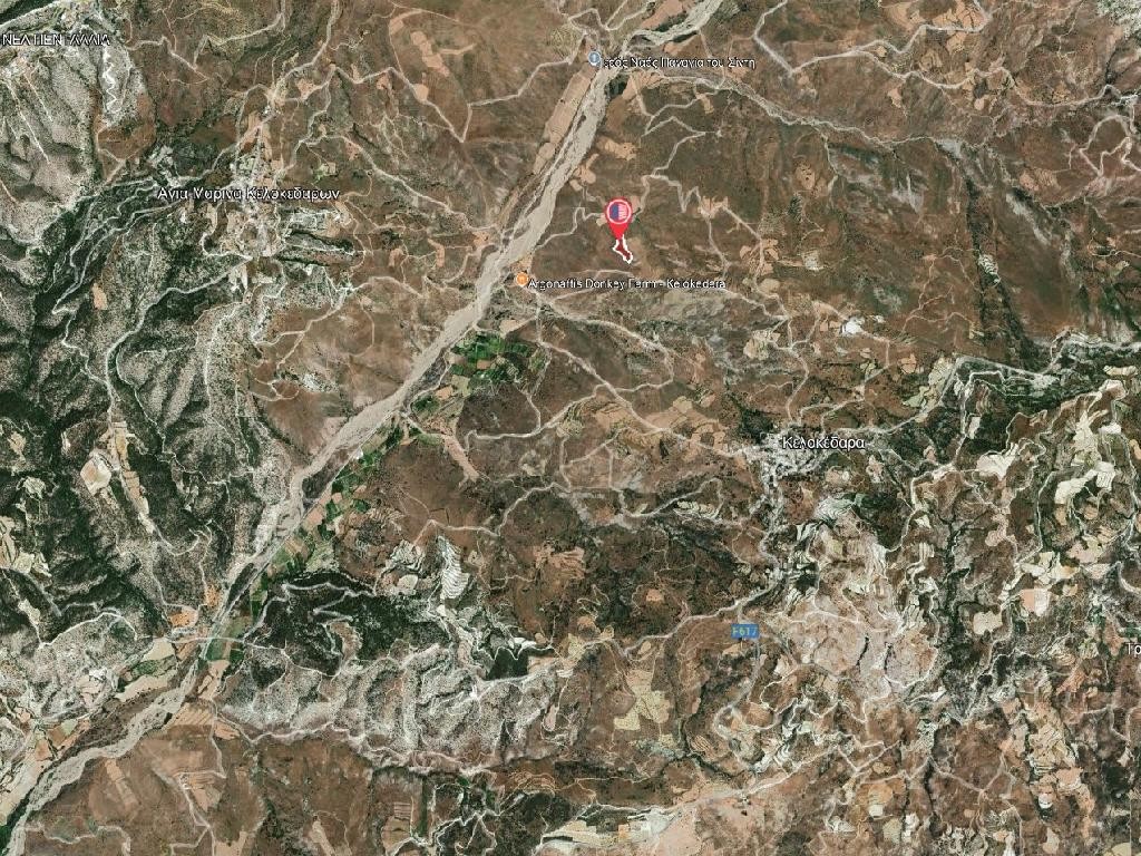 Field - Kelokedara, Paphos