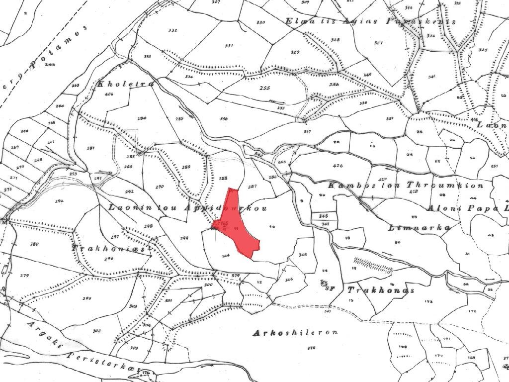 Field - Kelokedara, Paphos