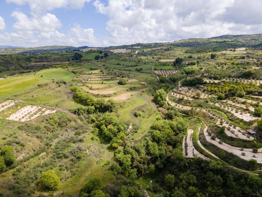 Theletra, Paphos Agricultural Field For Sale | WW30341