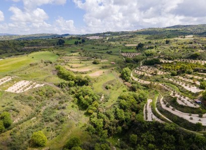 Theletra, Paphos Agricultural Field For Sale | WW30341
