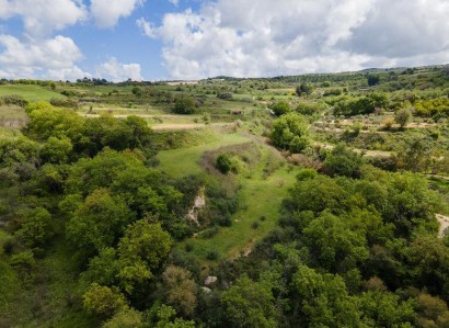 Theletra, Paphos Agricultural Field For Sale | WW30341