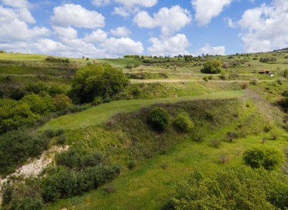 Theletra, Paphos Agricultural Field For Sale | WW30341