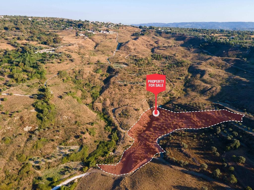 Lasa, Paphos Agricultural Field For Sale | WW30342
