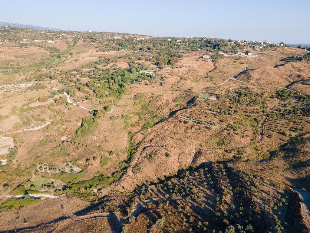 Field - Lasa, Paphos