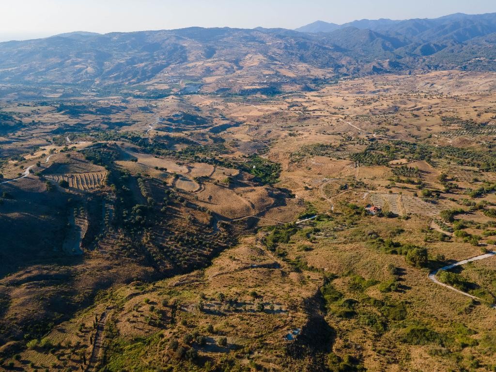 Field - Lasa, Paphos