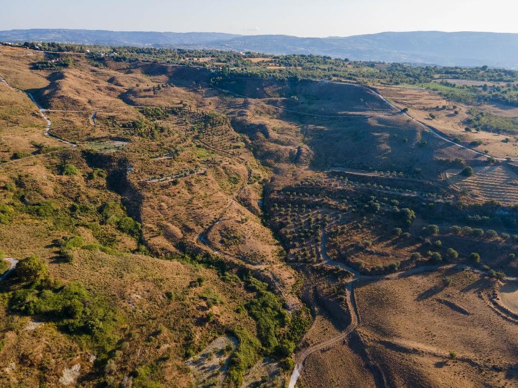 Field - Lasa, Paphos