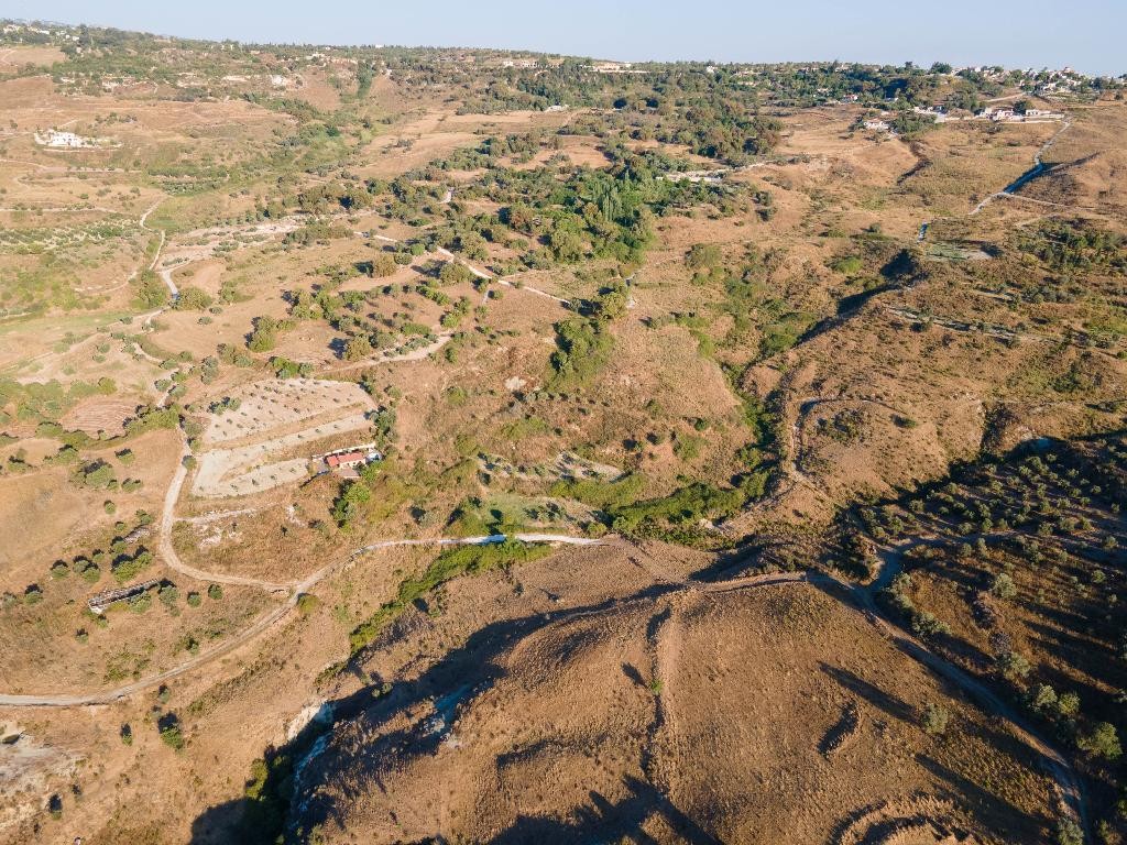 Field - Lasa, Paphos