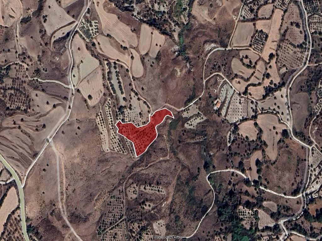 Field - Lasa, Paphos