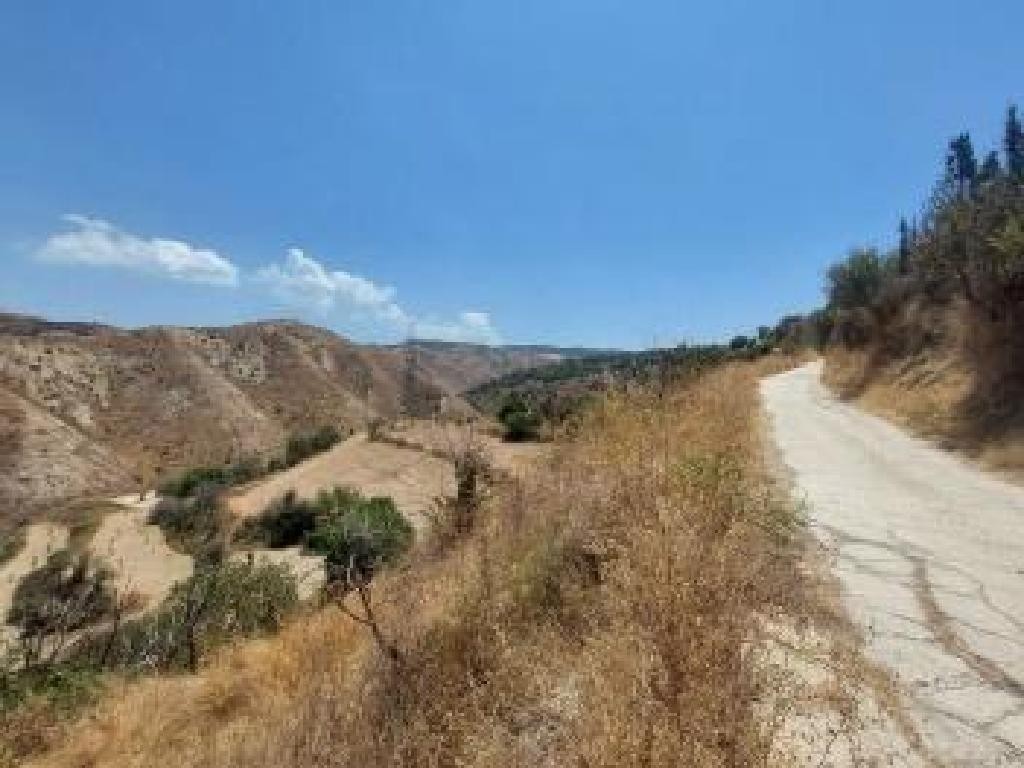Drymou, Paphos Agricultural Field For Sale | WW30345