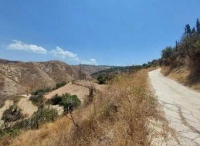 Drymou, Paphos Agricultural Field For Sale | WW30345