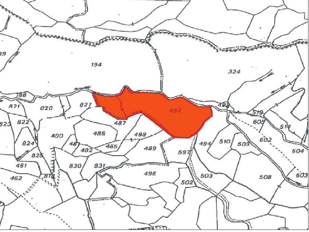 Field - Drymou, Paphos