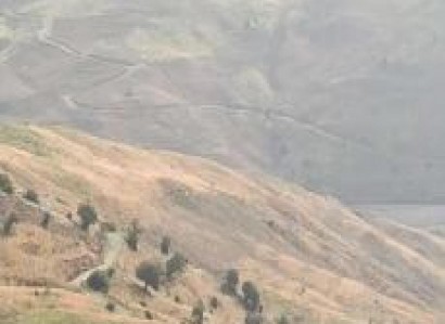 Koilineia, Paphos Agricultural Field For Sale | WW30346