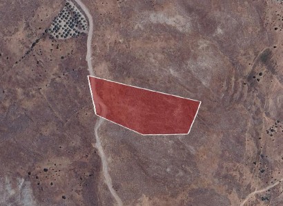 Koilineia, Paphos Agricultural Field For Sale | WW30346