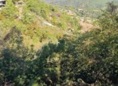 Panagia, Paphos Residential Field For Sale | WW30348