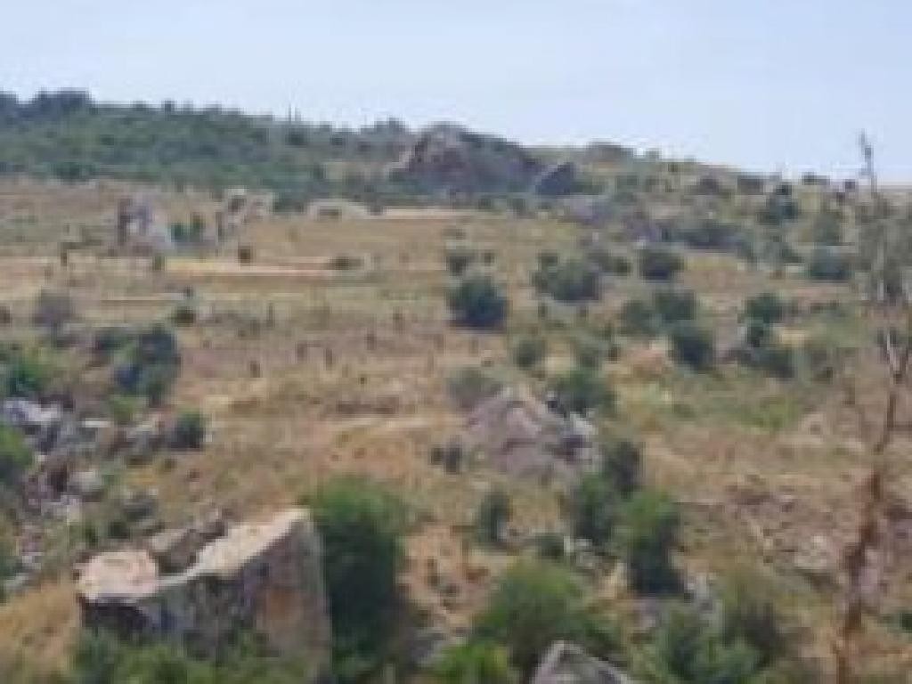 Drouseia, Paphos Agricultural Field For Sale | WW30360