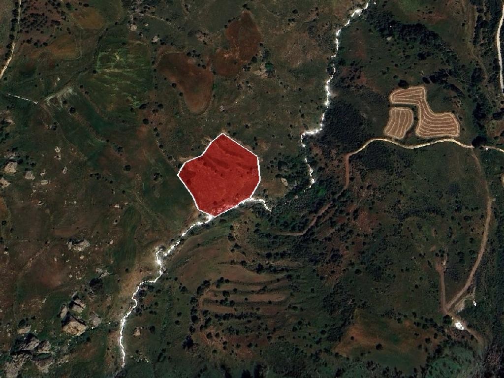 Field - Drouseia, Paphos