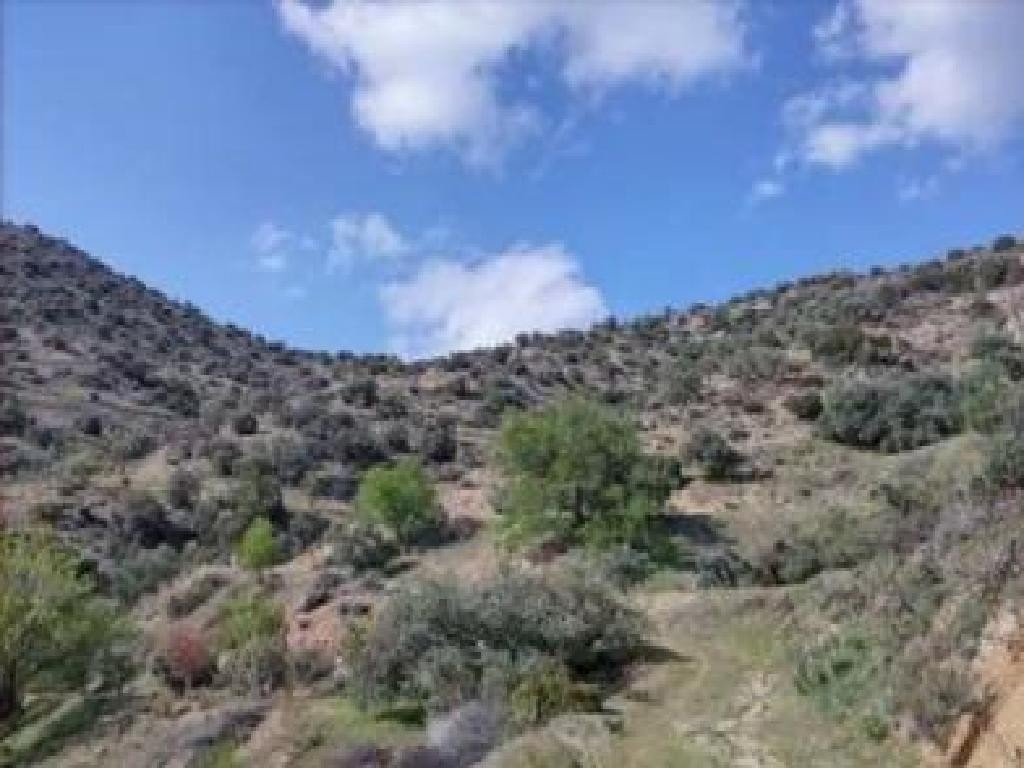 Kapilio, Limassol Agricultural Field For Sale | WW30366