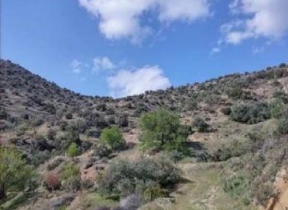 Kapilio, Limassol Agricultural Field For Sale | WW30366