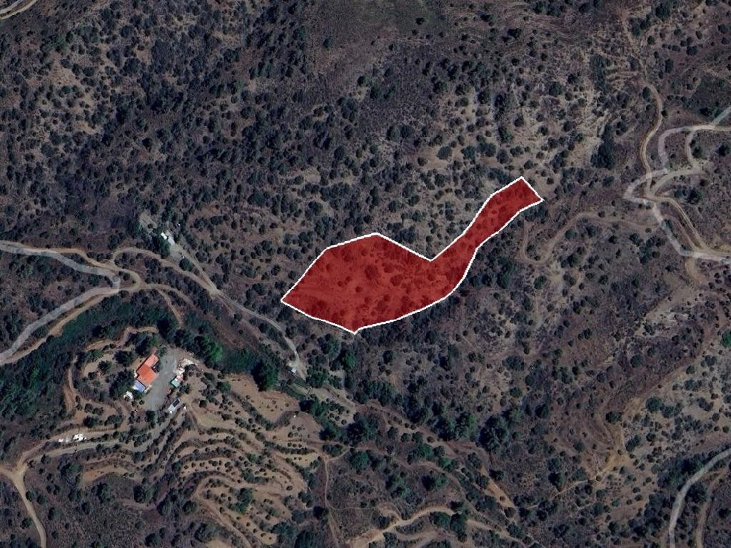 Field - Kapileio, Limassol