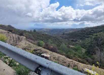 Silikou, Limassol Agricultural Field For Sale | WW30368