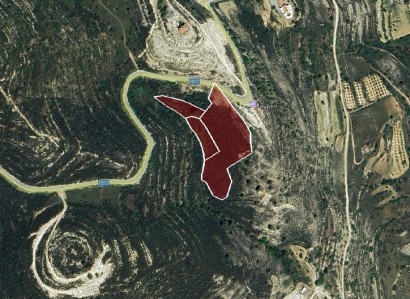 Silikou, Limassol Agricultural Field For Sale | WW30368